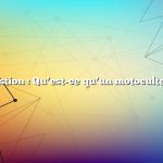 Question : Qu’est-ce qu’un motoculteur ?